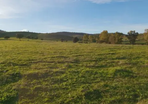 Terreno en Cehegín