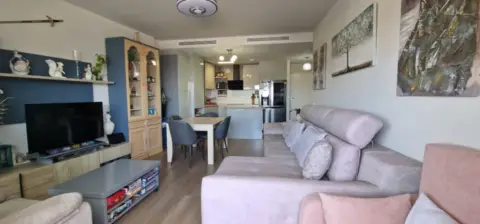 Ático en calle Pilar Bardem