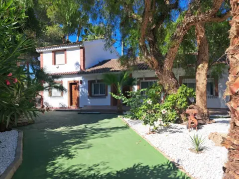 Chalet rústico en Orihuela Pedanías