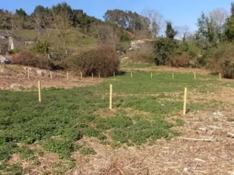Terreno en calle Aldea Mogobio