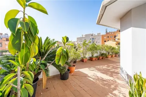 Ático en Es Camp d'en Serralta