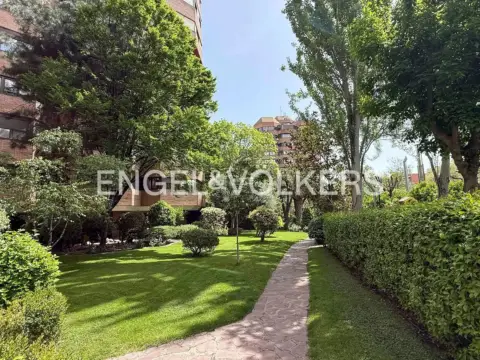 Piso en Nueva España
