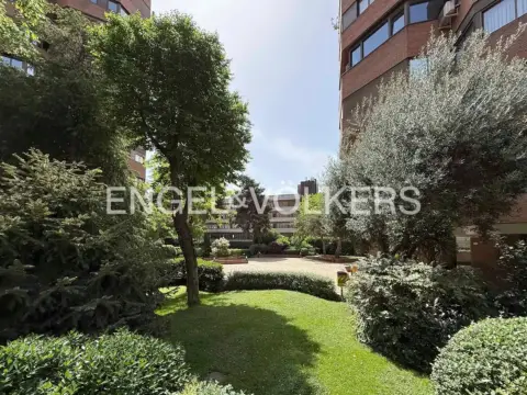 Piso en Nueva España