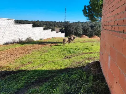 Chalet en calle 2ª Avenida