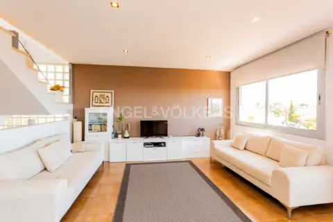 Casa en Mas Trader-Corral d'en Tort-Corral d'en Cona