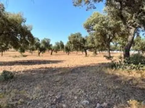 Finca rústica en Valle de La Serena