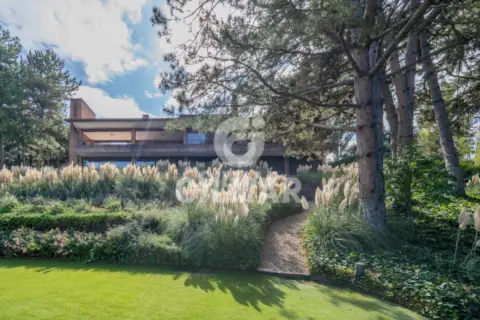 Chalet en Ciudalcampo