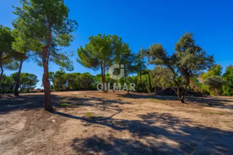 Chalet en La Moraleja