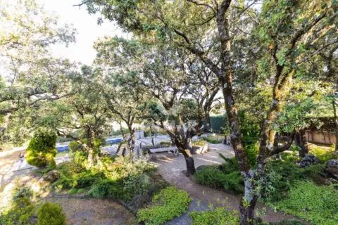 Chalet en Valdemorillo