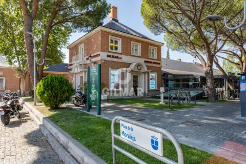 Chalet en La Moraleja