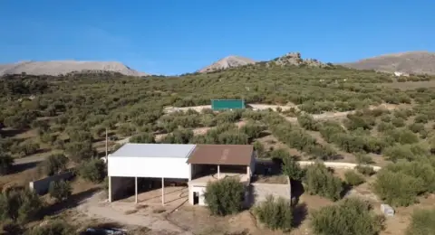 Local comercial en Periana