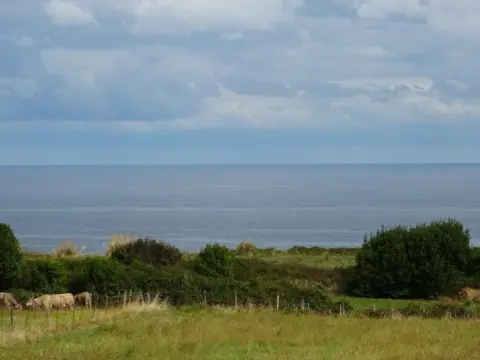 Chalet en calle Paco Labiano, 17