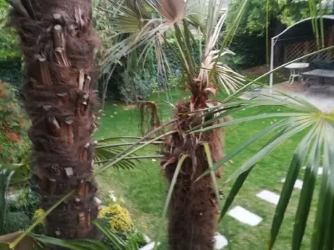 Chalet en Parque del Conde de Orgaz