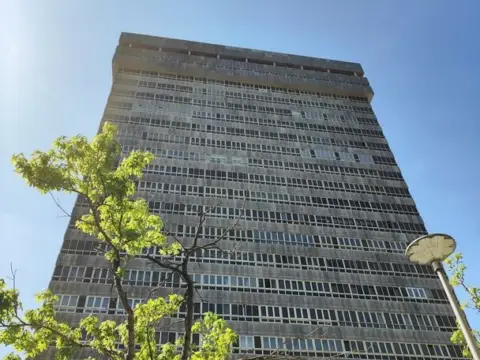 Estudio en Mandasko Dukearen Pasealekua