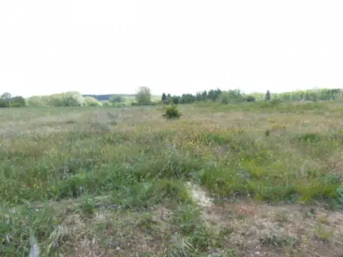 Terreno en Finca Rústico Para Huerta