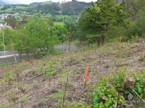 Terreno en Arenas de Parres