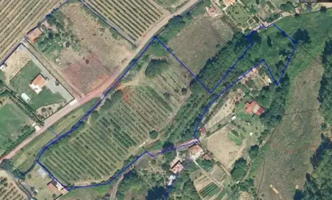 Finca rústica en calle N-111, nº 1