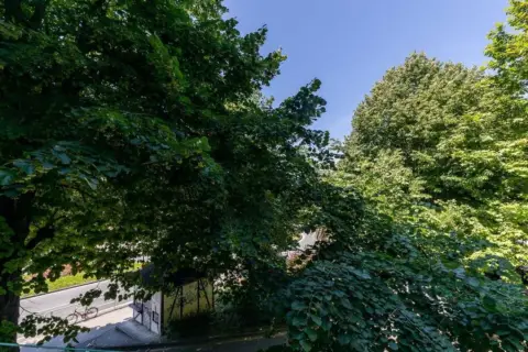 Piso en Avenida de Ategorrieta