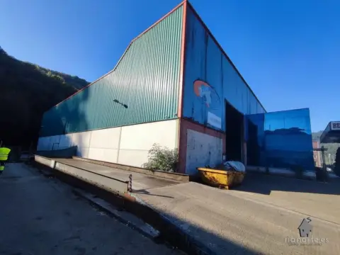 Nave industrial en Riaño-Barros