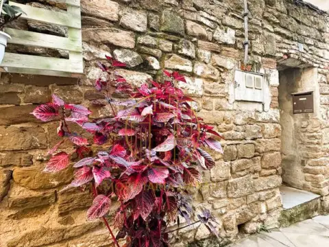 Casa en Tafalla
