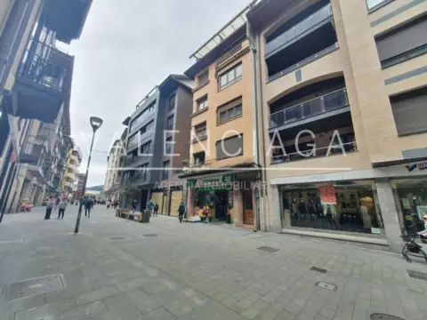 Piso en calle Kale Nagusia Kalea