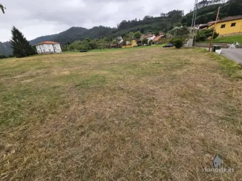 Finca rústica en San Román de Candamo