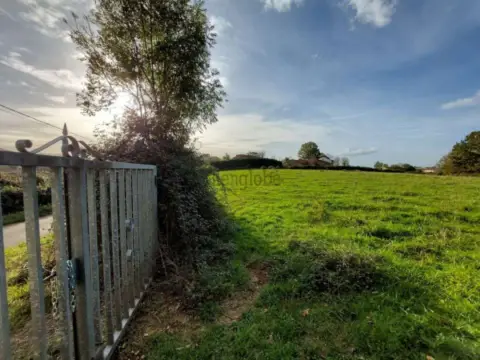 Finca rústica en Granda, A 5 Km Oviedo Ciudad