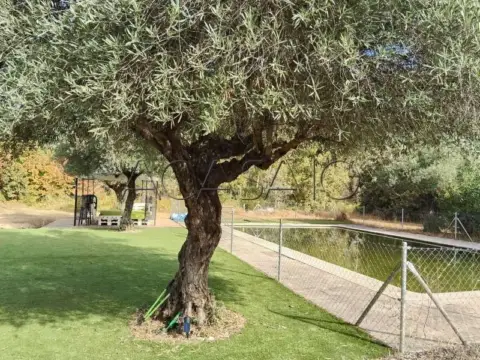 Chalet en El Casar de Escalona