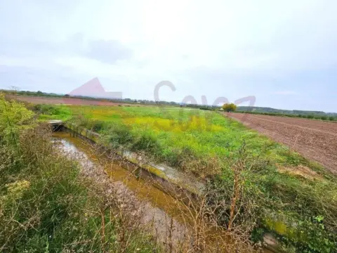 Finca rústica en Arrúbal