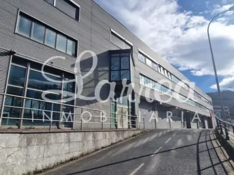 Nave industrial en calle Estaziño Auzoa, nº 17