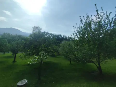 Finca rústica en Barrio de Bengoetxea