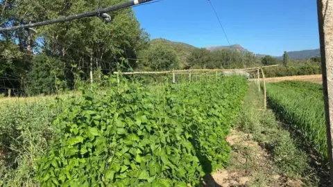 Finca rústica en Frías