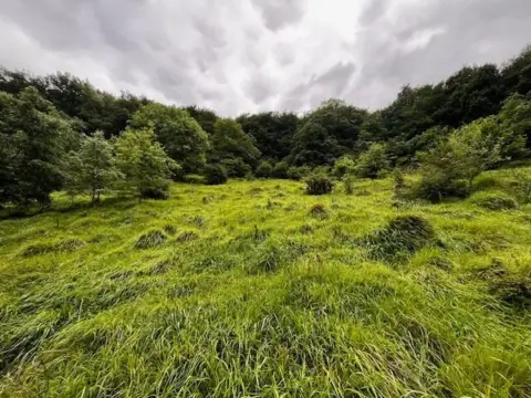 Finca rústica en Latasa