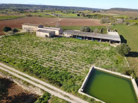 Finca rústica en Manacor