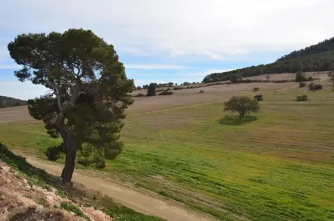 Terreno en Centro-Corredera