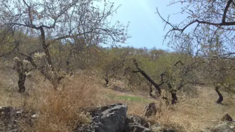 Terreno en El Candado-Camino de Olías-Camino de los Montes