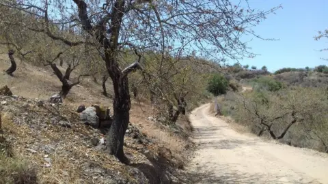 Terreno en El Candado-Camino de Olías-Camino de los Montes