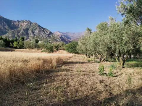 Terreno en Nigüelas