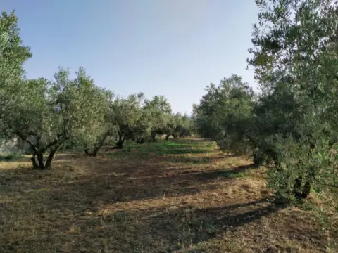 Terreno en Nigüelas