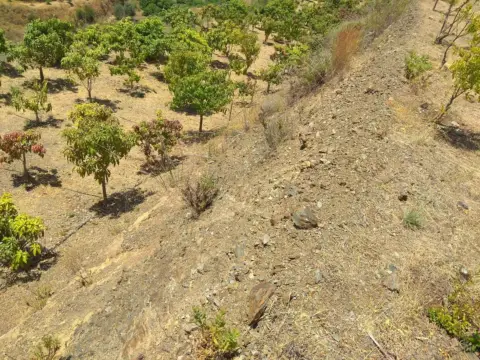 Terreno en Almáchar