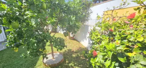 Piso en Caleta de Vélez-Lagos