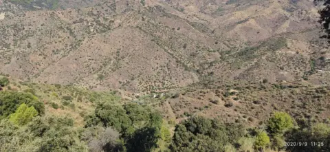 Finca rústica en Monda