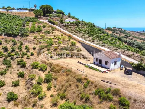 Casa en calle Frigiliana Campo