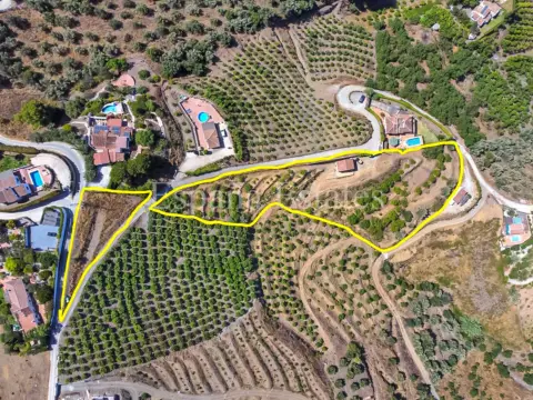 Casa en calle Frigiliana Campo