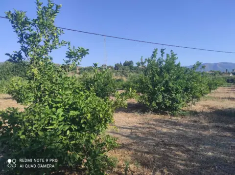 Finca rústica en Cártama