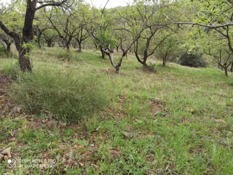 Terreno en Totalán