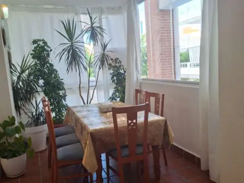 Piso en Avenida de Jesús Santos Rein