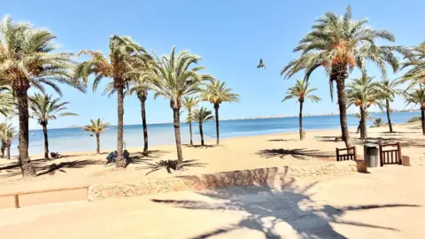 Chalet en calle Camping Caravaning, 119