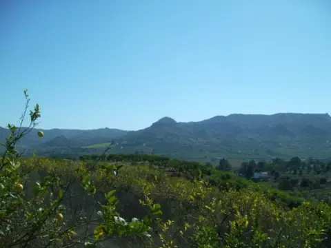 Terreno en Álora