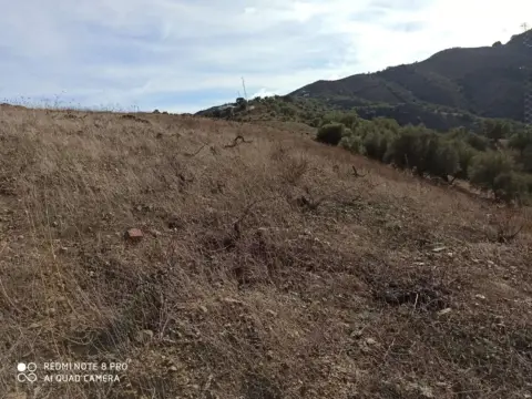 Terreno en Almáchar